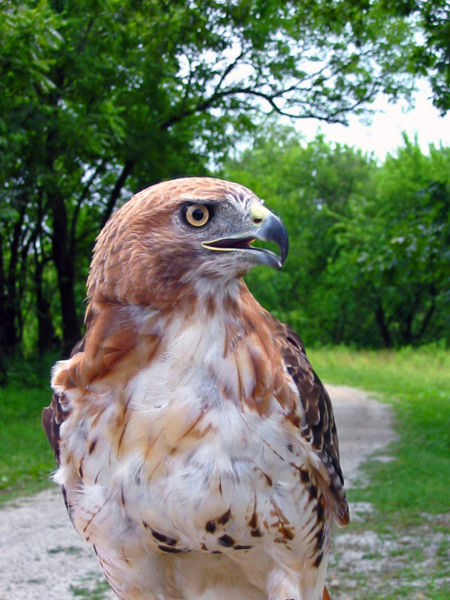 File:318948906 c71e1aa7bb o.jpg