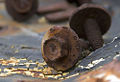Thumbnail for version as of 04:57, 17 June 2008