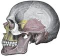 Thumbnail for version as of 10:55, 28 February 2013