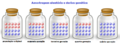 Thumbnail for version as of 13:27, 25 May 2012