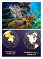 Thumbnail for version as of 08:49, 8 October 2014