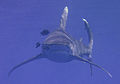Thumbnail for version as of 06:17, 11 November 2006