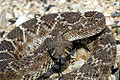 Thumbnail for version as of 04:37, 4 January 2008