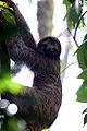 Thumbnail for version as of 23:54, 21 February 2010