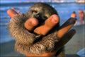 Thumbnail for version as of 00:34, 28 December 2016