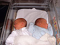 Thumbnail for version as of 05:30, 19 January 2012