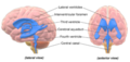 Thumbnail for version as of 17:53, 28 March 2016