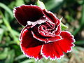 Thumbnail for version as of 06:41, 18 May 2010