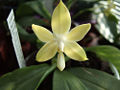 Thumbnail for version as of 03:31, 14 May 2008