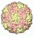Thumbnail for version as of 01:33, 30 April 2008
