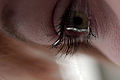 Thumbnail for version as of 23:29, 25 March 2009