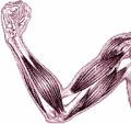 Thumbnail for version as of 07:42, 7 June 2007