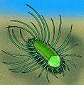 Thumbnail for version as of 16:32, 14 October 2009