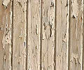 Thumbnail for version as of 02:38, 3 December 2010
