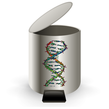 Junk Dna What It Is And Why It Mattersnew Research - eafh7n7