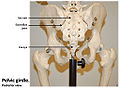 Thumbnail for version as of 07:47, 14 November 2011