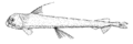 Thumbnail for version as of 17:55, 1 December 2006