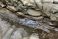 Thumbnail for version as of 03:59, 17 December 2010