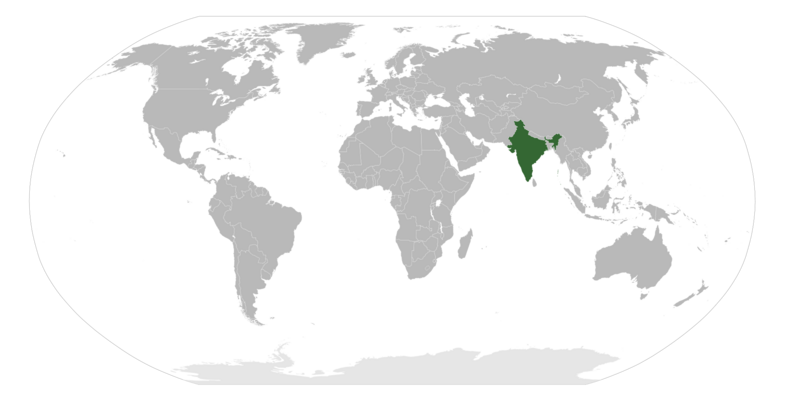 File:India native. basil.png