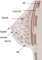 Thumbnail for version as of 00:29, 3 February 2009
