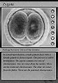 Thumbnail for version as of 05:35, 19 January 2012