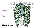 Thumbnail for version as of 16:29, 17 November 2011