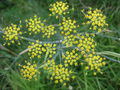 Thumbnail for version as of 23:59, 27 May 2013