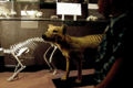 Thumbnail for version as of 03:12, 25 January 2008