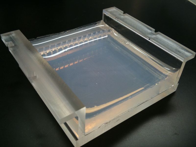 File:Agarose gels.jpg