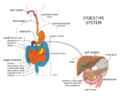 Thumbnail for version as of 02:02, 28 October 2014