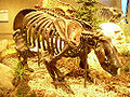 Thumbnail for version as of 06:57, 26 February 2010