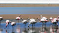 Thumbnail for version as of 16:53, 24 March 2007