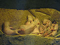 Thumbnail for version as of 05:14, 25 February 2011
