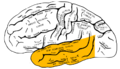 Thumbnail for version as of 03:21, 2 March 2010