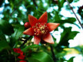 Thumbnail for version as of 18:53, 3 May 2007