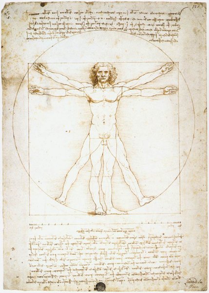 File:Vitruvian.jpg