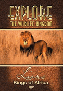 Lions kings of africa.gif