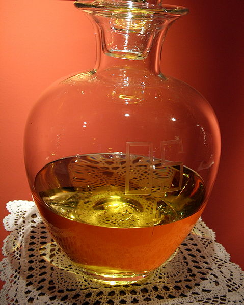 Ficheiro:OleaSancta.JPG
