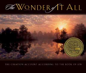 The Wonder of It All.jpg