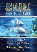 Dolphins Tribes of the Sea.gif