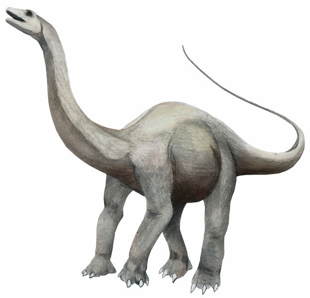 File:Apatosaur.jpg