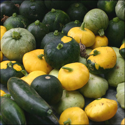 File:Shapes of Summer Squash.jpg