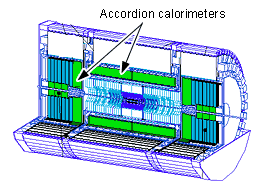 File:Calorimeterrr2222.gif