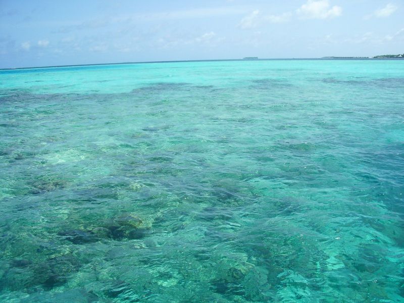 File:Maldives-reefs.jpg