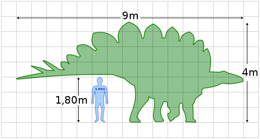 File:Stegosaurus size.png