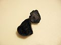 Black Truffle (Tuber melanosporum)
