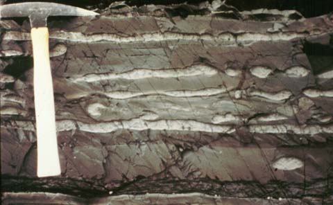 Ficheiro:Graywacke turbidites in Bay of Pillars Formation.jpg