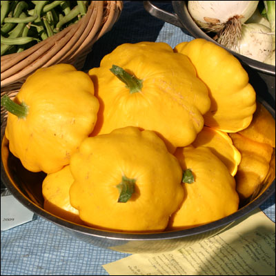 File:Cucurbita pepo Yellow Scallop Summer Squash.jpg