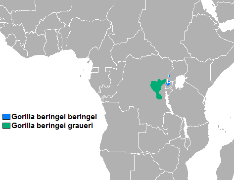 File:Eastern Gorilla Range Map.png