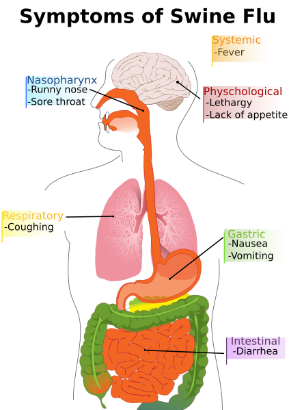 File:Symptomsinhuman.png